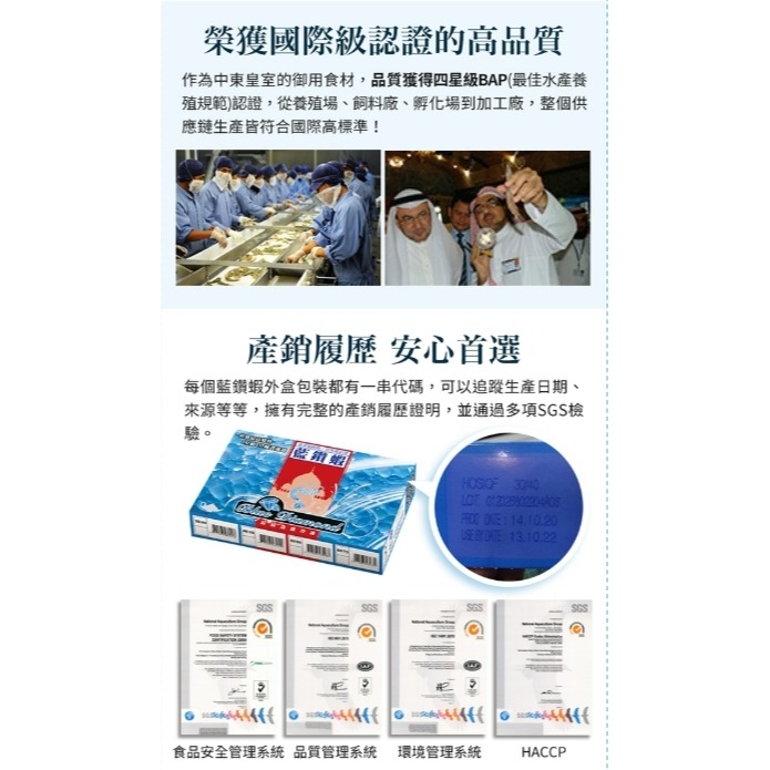 藍鑽蝦 30/40-細節圖7