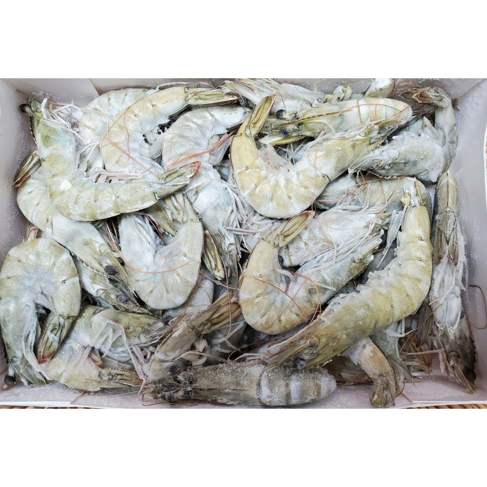 藍鑽蝦 30/40-細節圖8