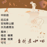 中烘焙-厄瓜多 安地斯山脈 水洗