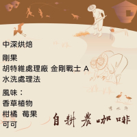 中深烘焙-剛果 北基伍 胡特維處理廠 金剛戰士 A 水洗