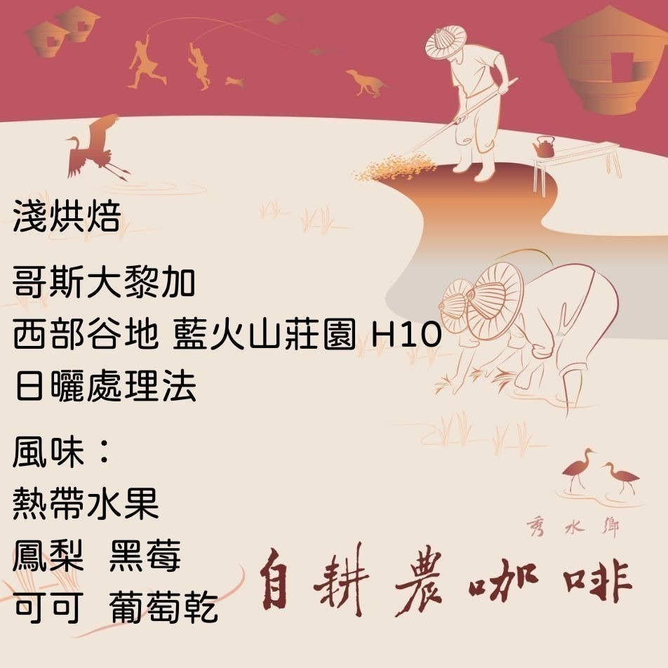 哥斯大黎加 西部谷地 藍火山莊園 H10 日曬