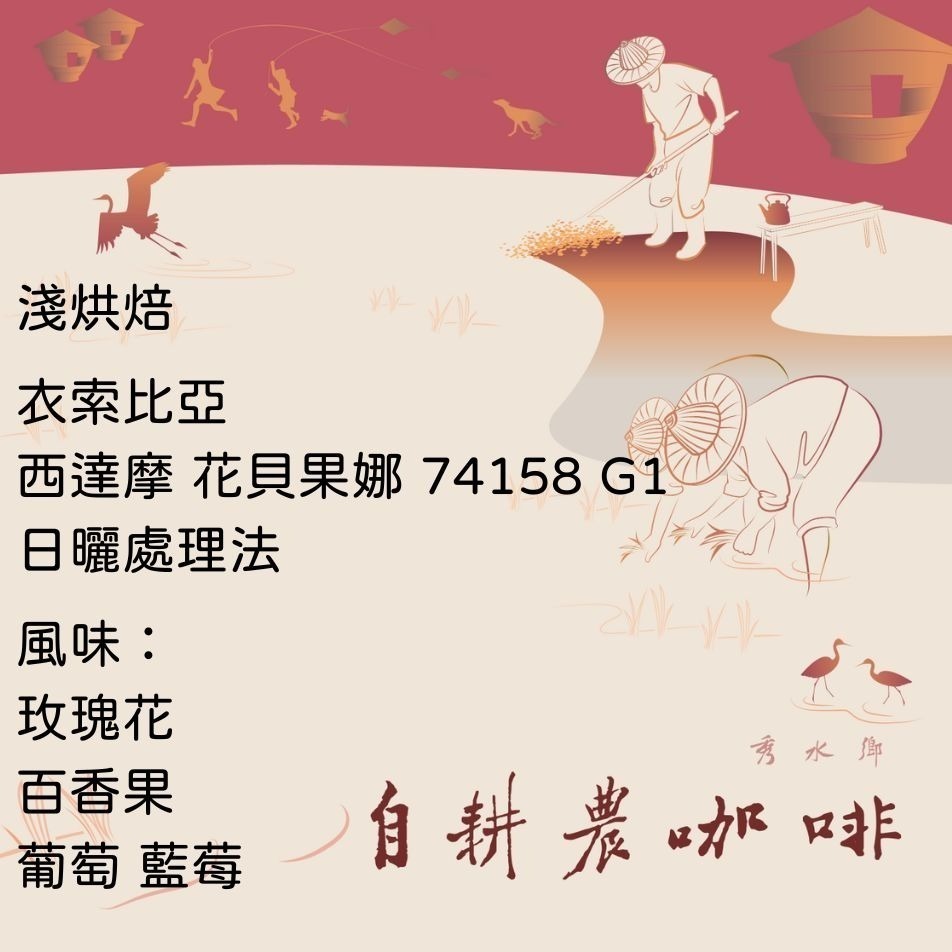 衣索比亞 西達摩 花貝果娜 74158 日曬 G1