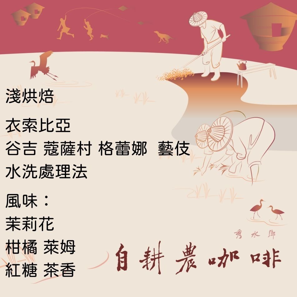 淺烘焙-精品咖啡濾泡式耳掛包-規格圖1