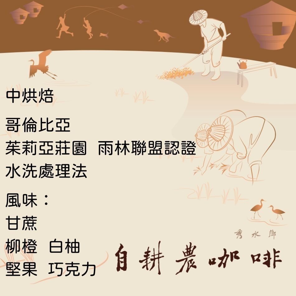 中烘焙-精品咖啡濾泡式耳掛包-規格圖1