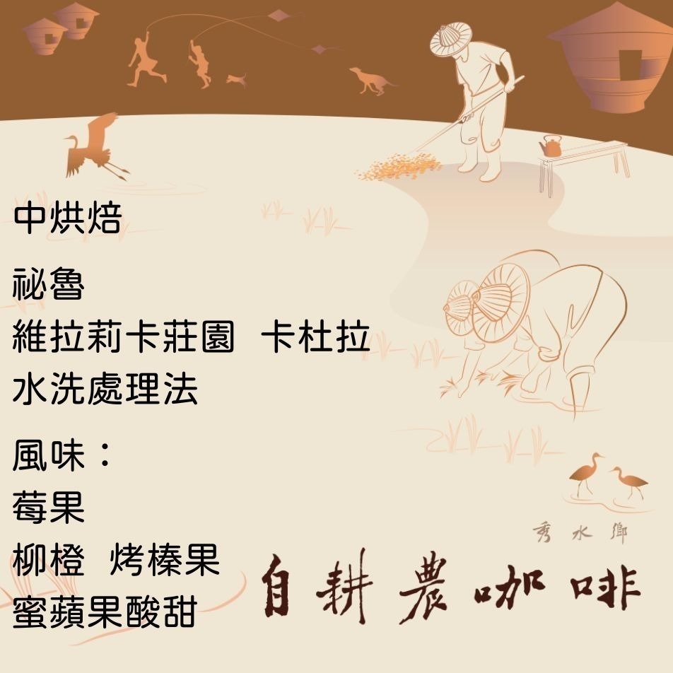 祕魯 維拉莉卡莊園 卡杜拉 水洗