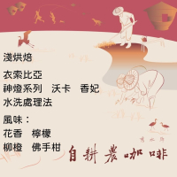 淺烘焙-衣索比亞 神燈系列 香妃 沃卡 水洗 G1