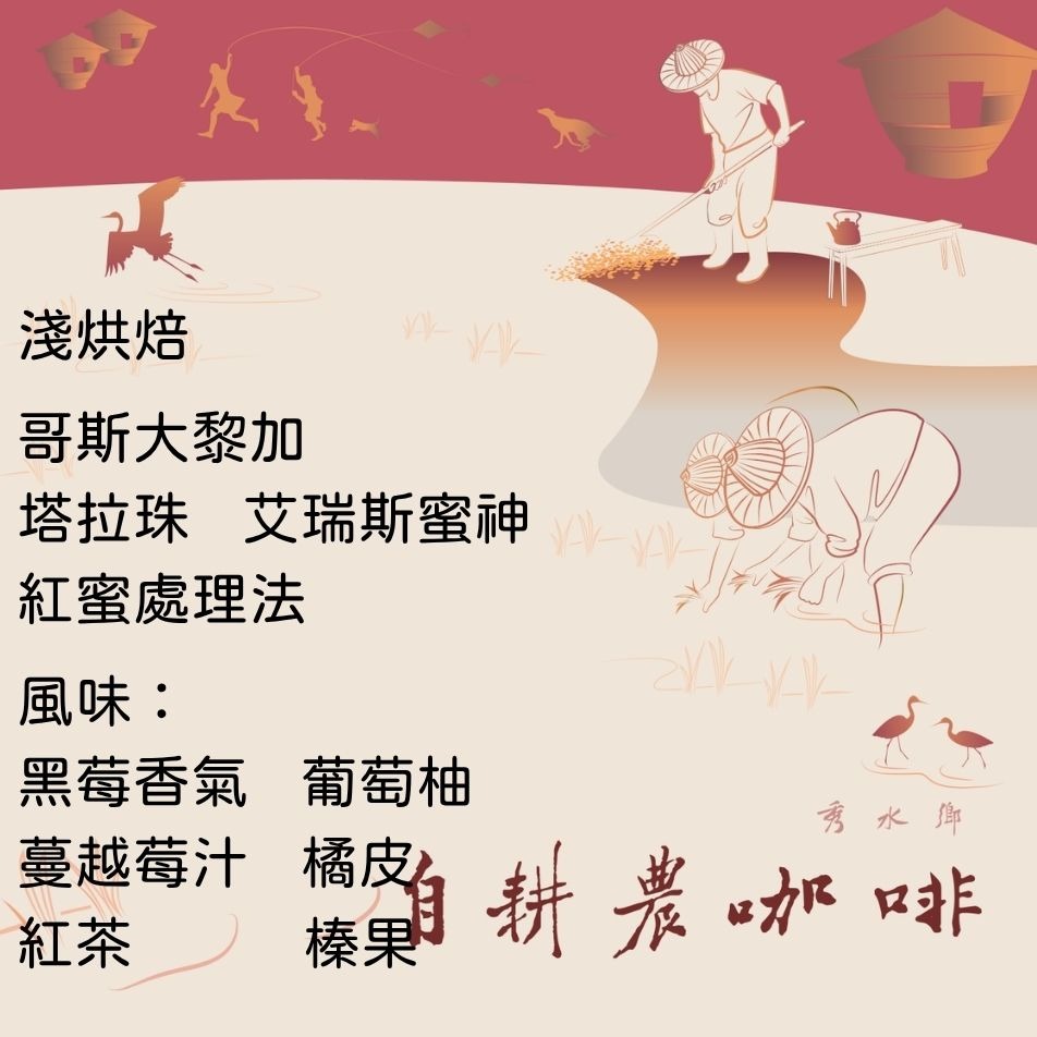 哥斯大黎加 塔拉珠 艾瑞斯蜜神 紅蜜
