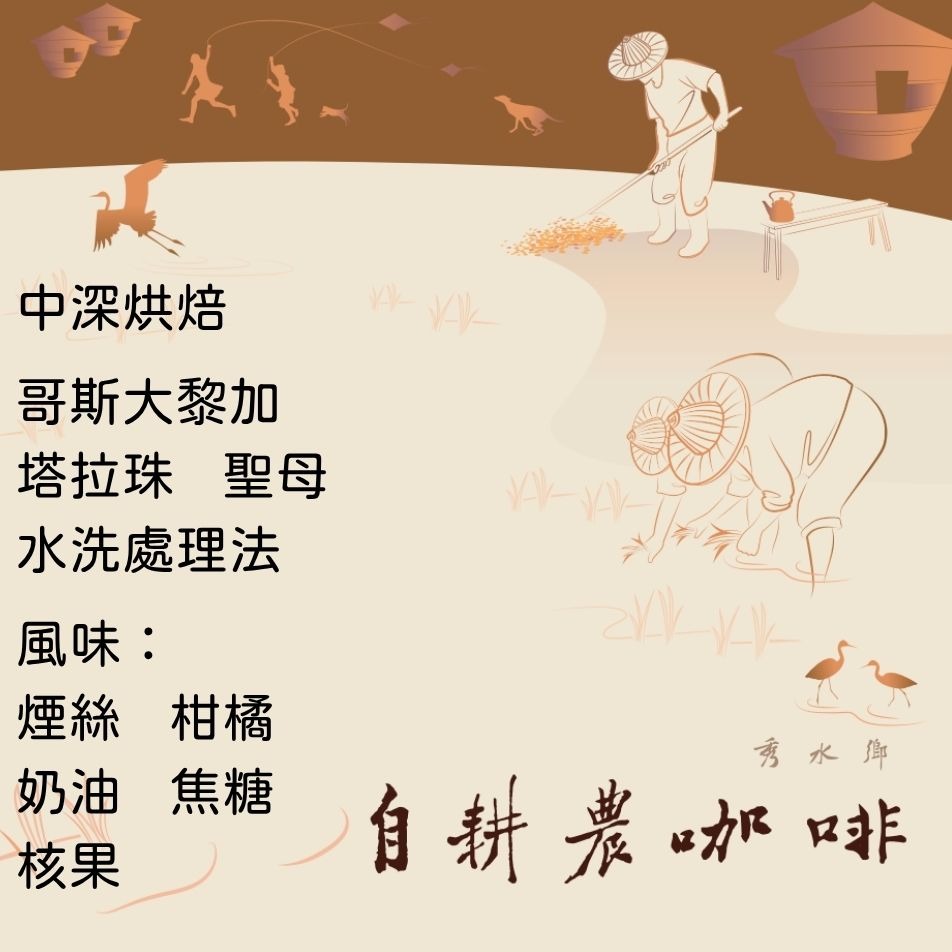 哥斯大黎加 塔拉珠 聖母 水洗