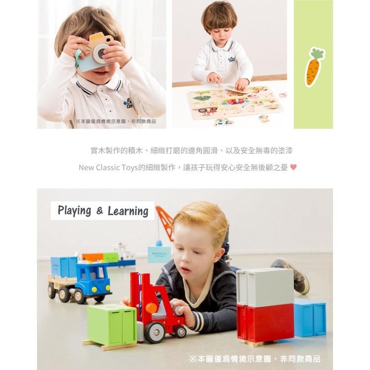 荷蘭New Classic Toys 寶寶認知學習拔蘿蔔玩具-10804 木製玩具/拔蘿蔔遊戲/認知學習/蒙特梭利教具-細節圖6