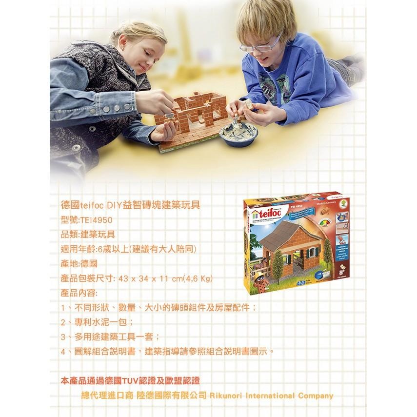 【德國teifoc】DIY益智磚塊建築玩具 - TEI4950-細節圖6