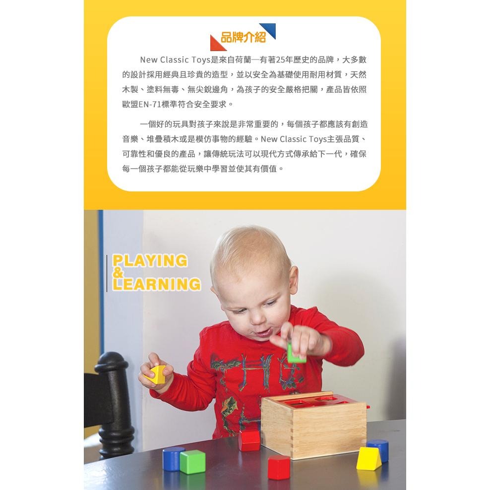 New Classic Toys 繽紛基礎創意積木100pcs - 10812 寶寶積木 積木玩具 早教玩具 推塔積木-細節圖4