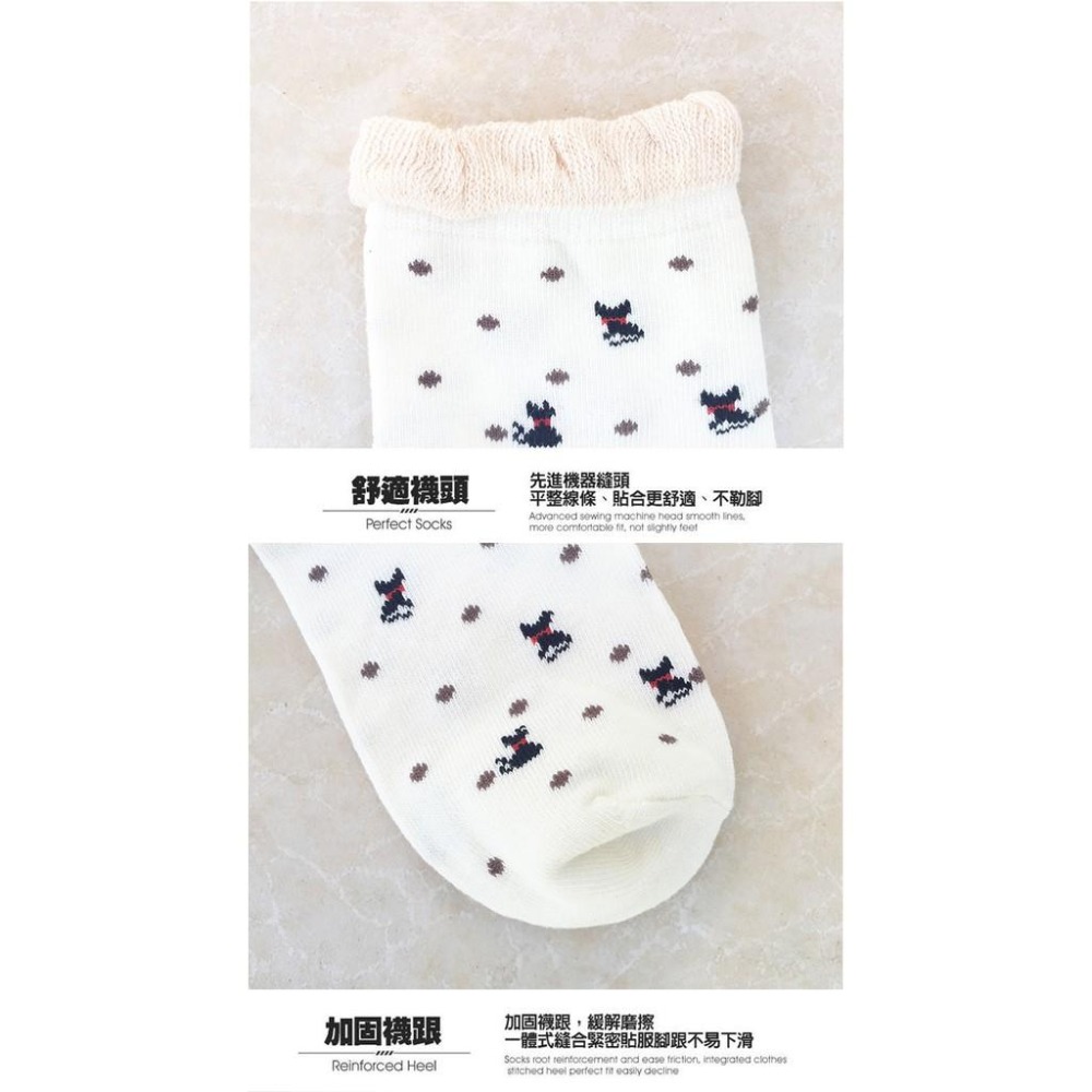 隔日出貨 點點小貓中筒襪 透氣 棉襪 短襪 襪子 船型短襪 女款襪 收納女王 ASA521-細節圖9