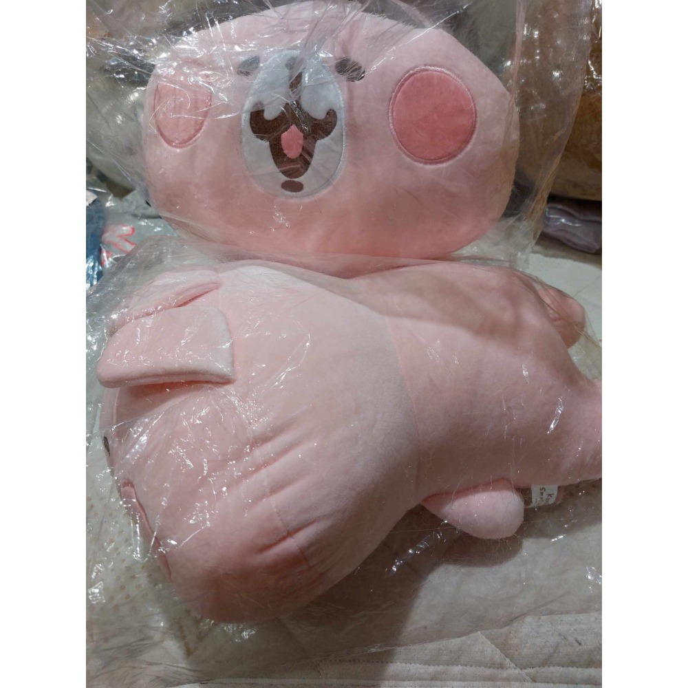 趴姿懶洋洋系列 卡娜赫拉娃娃  18吋 正版授權 兔兔 p助 貓咪 卡娜赫拉小動物 趴姿卡娜赫拉-細節圖2