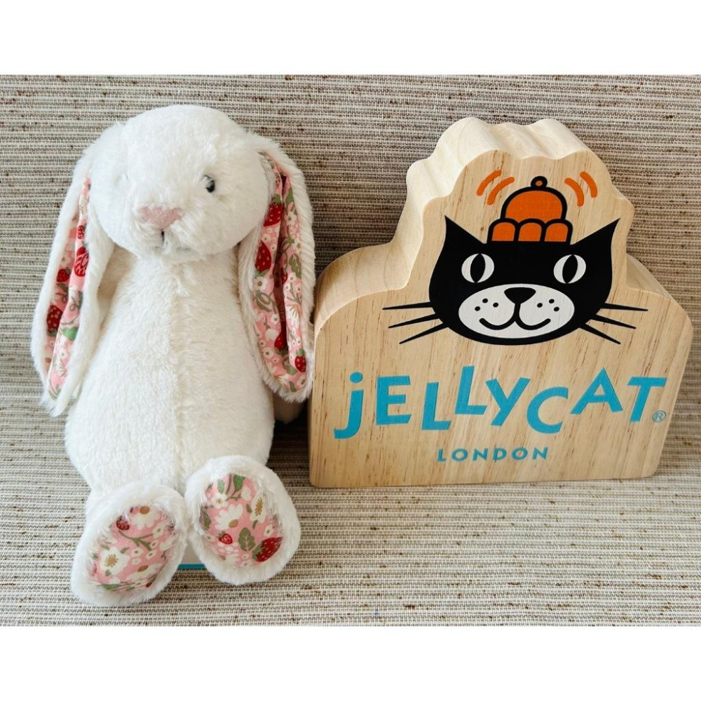 【現貨】英國Jellycat 安撫玩偶 兔兔 Timmy Turtle Ricky Rain 粉紅萊奧拉熊 多款可選-細節圖5