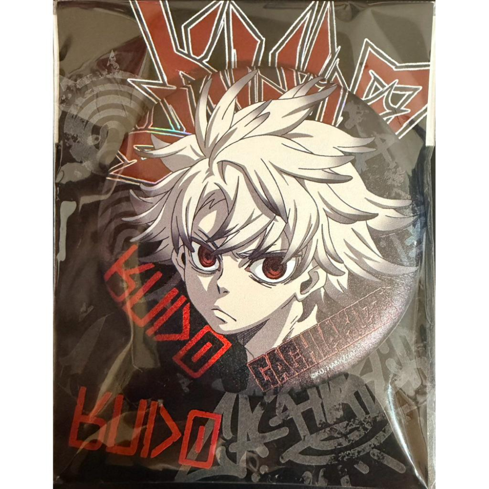 【現貨】GACHIAKUTA 廢淵戰鬼 理遙 恩琴 路德 贊卡超好看海報一組四張/胸針-細節圖6