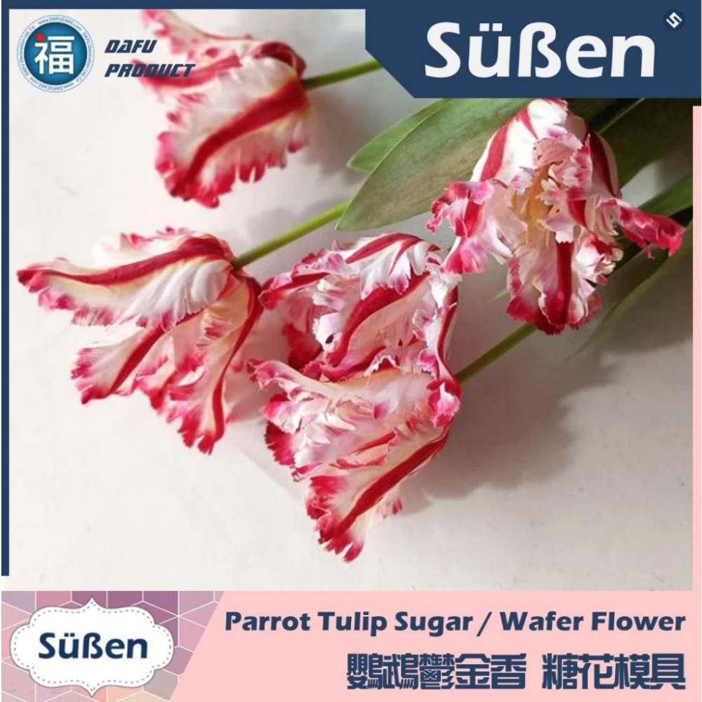 【鸚鵡鬱金香 不鏽鋼切模】3件組 糖花 威化花 翻糖蛋糕 壓模 模具 花模 花卉花瓣 巧克力蜜蠟花石膏花皂花香氛蠟燭可用-細節圖3