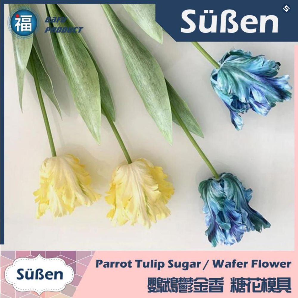 【鸚鵡鬱金香 不鏽鋼切模】3件組 糖花 威化花 翻糖蛋糕 壓模 模具 花模 花卉花瓣 巧克力蜜蠟花石膏花皂花香氛蠟燭可用-細節圖5
