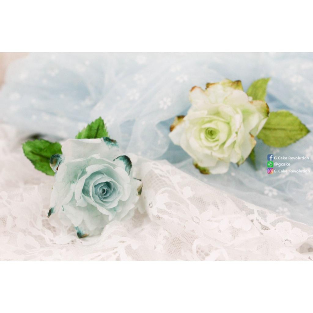 【仿真 玫瑰 奧斯汀 通用 花脈模】適用翻糖花翻模巧克力模手工皂模食用色素筆惠爾通wilton色膏糖霜珠光粉-細節圖2