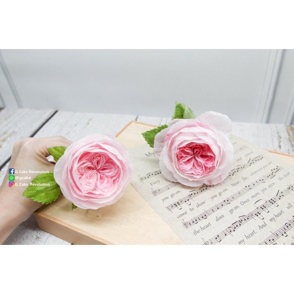 【仿真 玫瑰 奧斯汀 通用 花脈模】適用翻糖花翻模巧克力模手工皂模食用色素筆惠爾通wilton色膏糖霜珠光粉-細節圖4