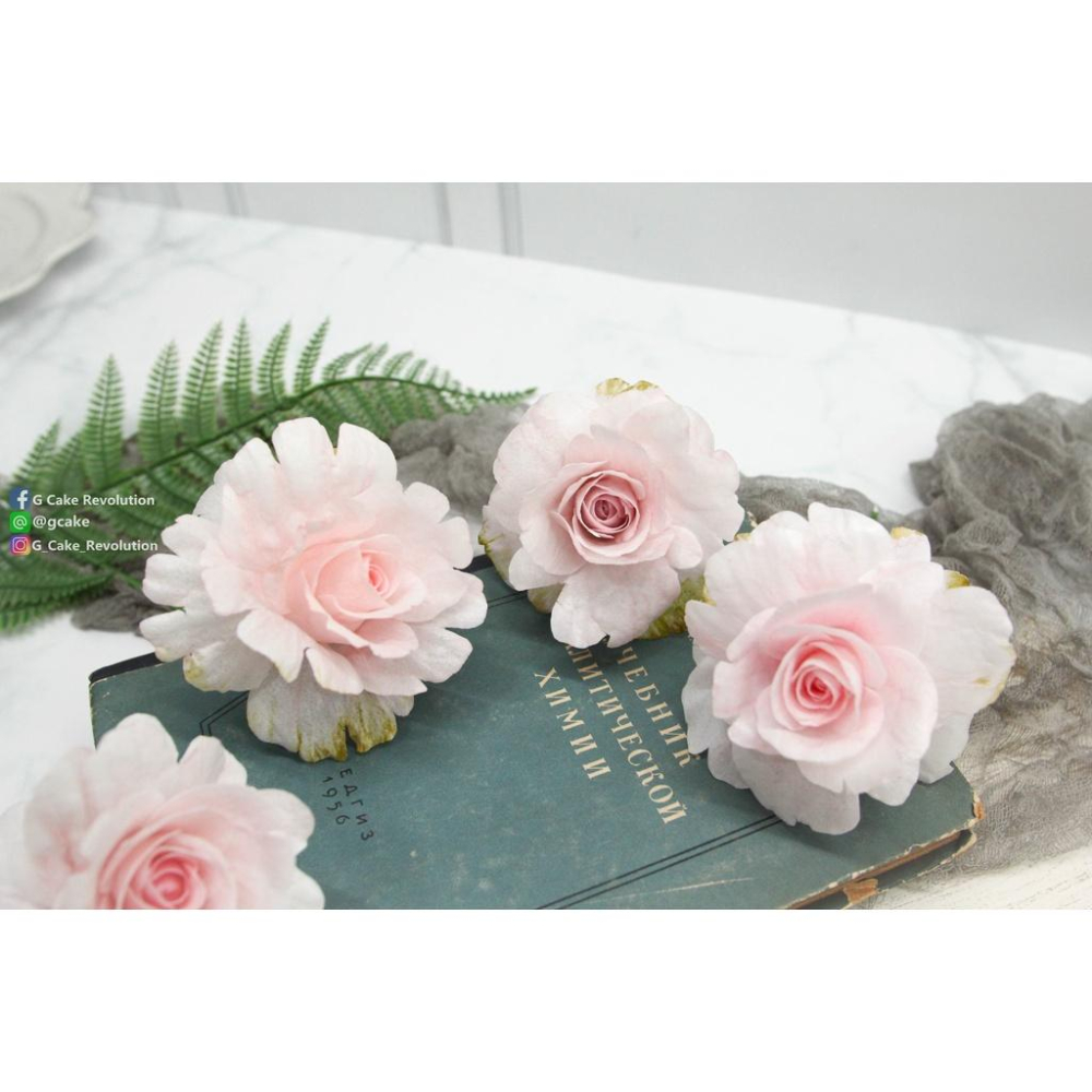 【仿真 玫瑰 奧斯汀 通用 花脈模】適用翻糖花翻模巧克力模手工皂模食用色素筆惠爾通wilton色膏糖霜珠光粉-細節圖5