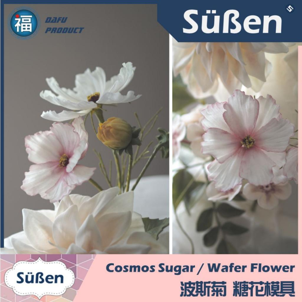 【波斯菊 花脈模矽膠模】【玫瑰花大集合】參考惠爾通Wilton12色膏翻糖泰勒粉刀具小滾刀針筆雕刻刀蛋糕糖霜餅乾 秋櫻-細節圖4