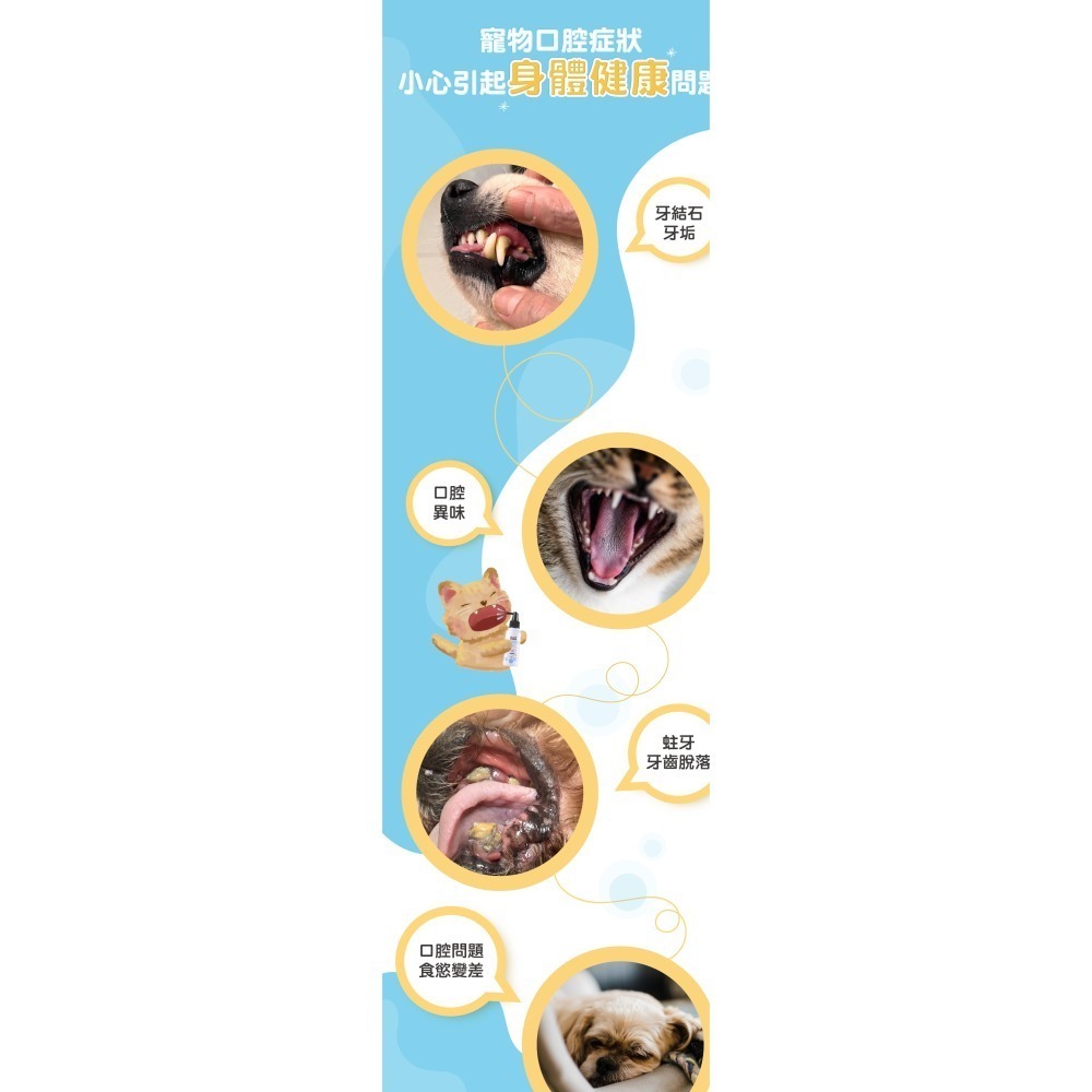 清新潔牙水-細節圖3