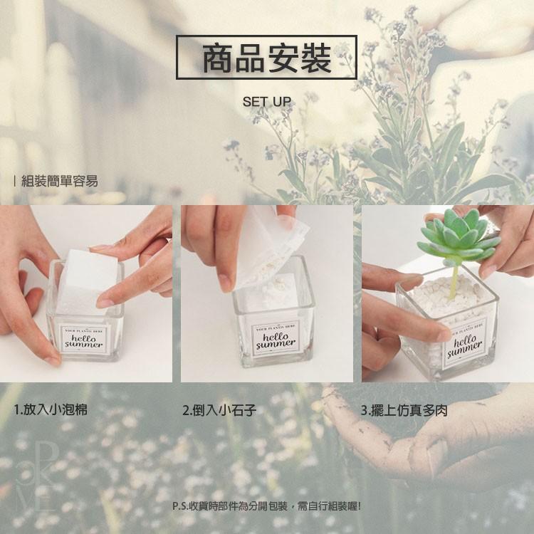 【免運券🔥合法發票】辦公室盆栽 小盆栽 假盆栽 仿真盆栽 假植物 盆栽 多肉植物 仙人掌 園藝裝飾 迷你盆栽 桌面盆栽-細節圖3