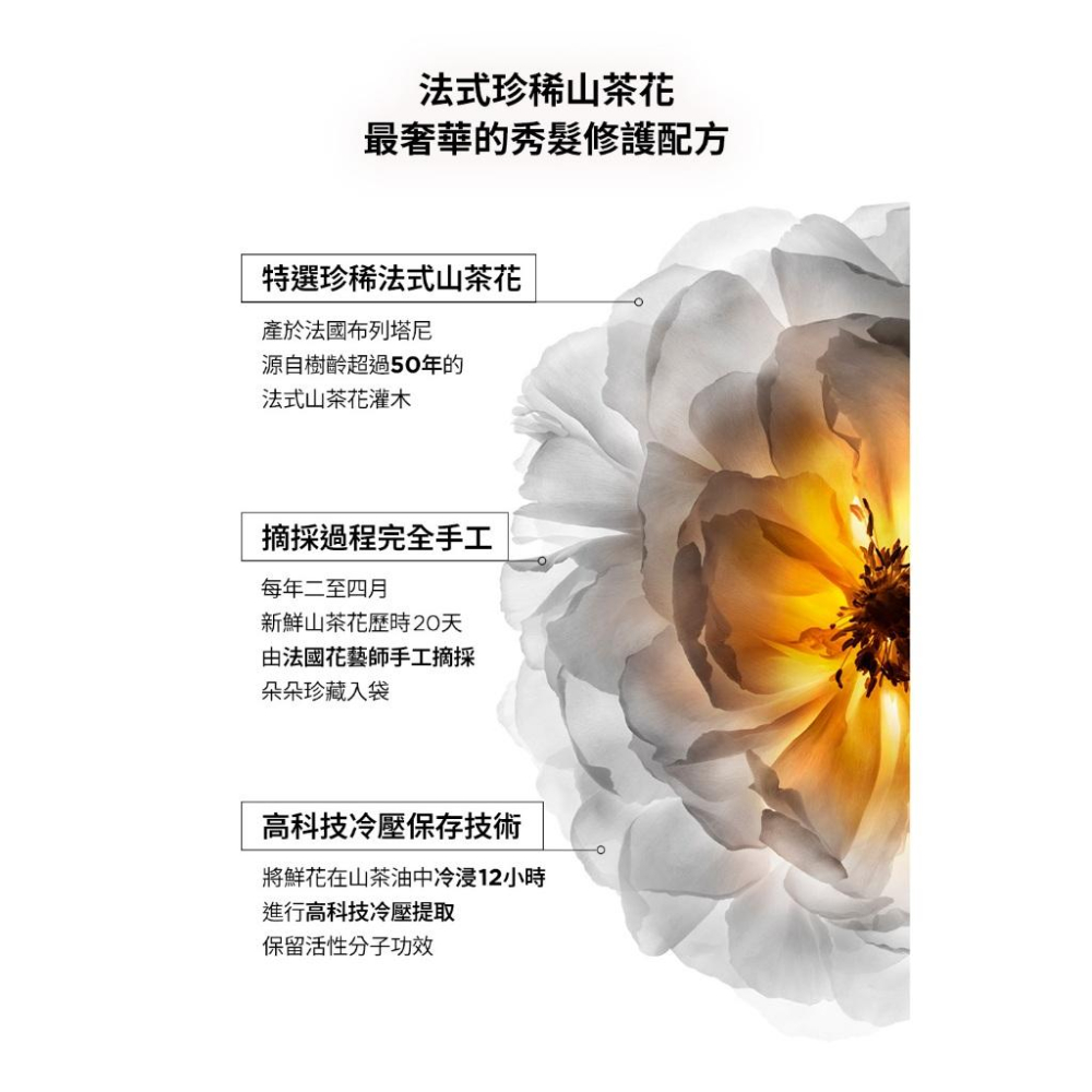 栗子美妝🌰｜巴黎卡詩 專櫃中文標 金緻柔馭山茶花鎏光露 升級版奢光小金油 15ml KERASTASE 現貨 小樣-細節圖6