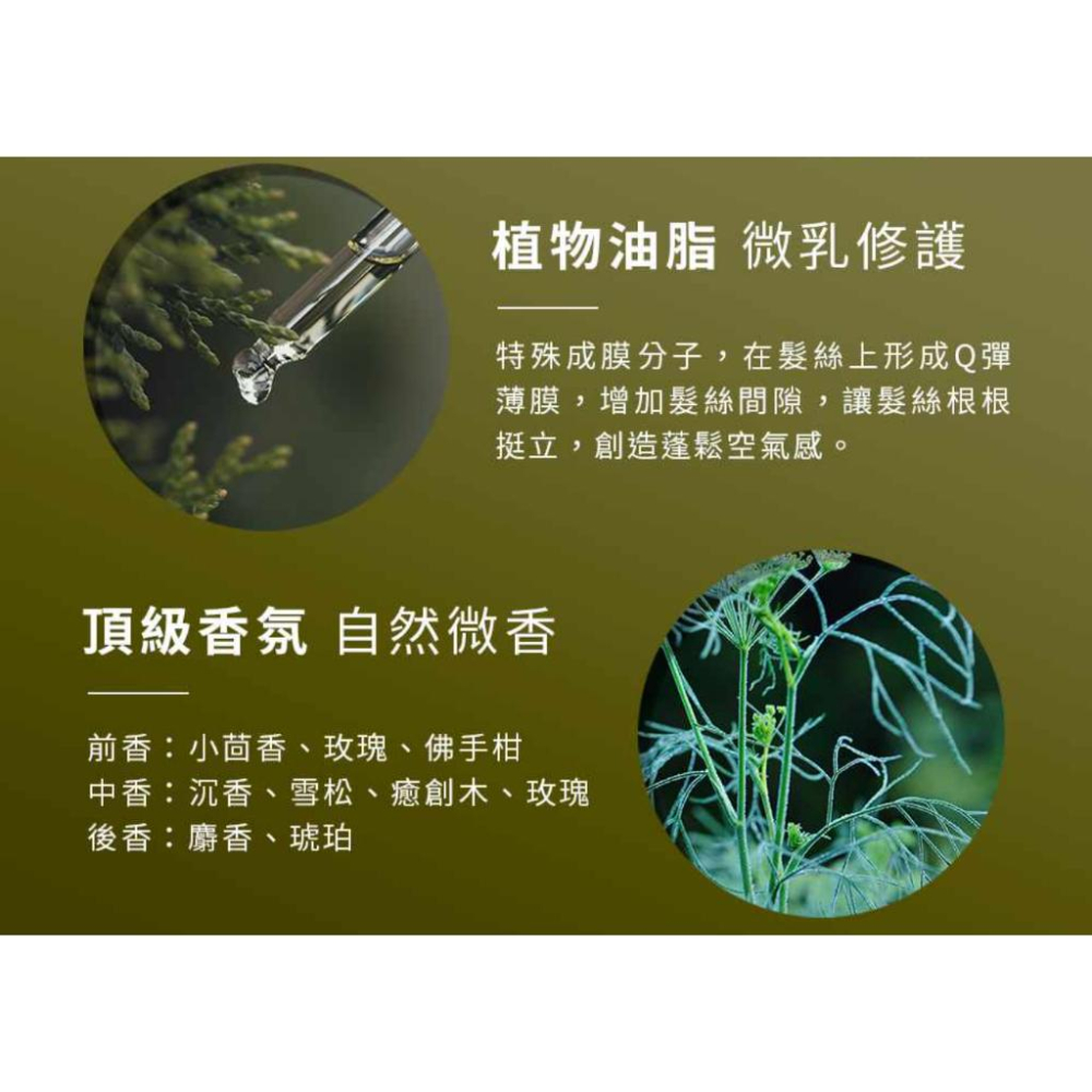 栗子美妝🌰｜FORTE 台塑生醫 Magnetic S1蓬鬆洗髮精 500g  C1清爽護髮素 150g 全新 油性頭皮-細節圖4