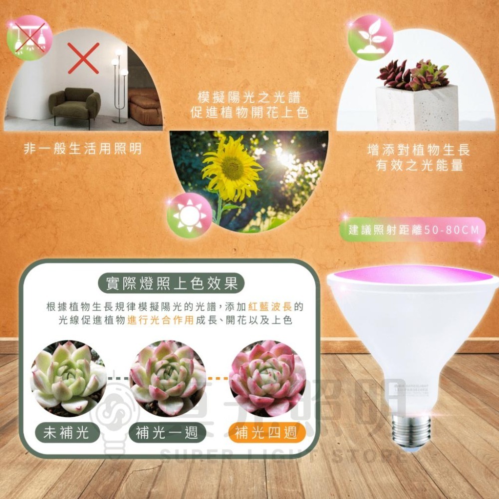 🧡 舞光LED ⚡️ 紅藍光譜 植物PAR燈 全光譜 LED E27/24w 植物用 多肉植物燈 植物生長燈 防塵防水-細節圖2