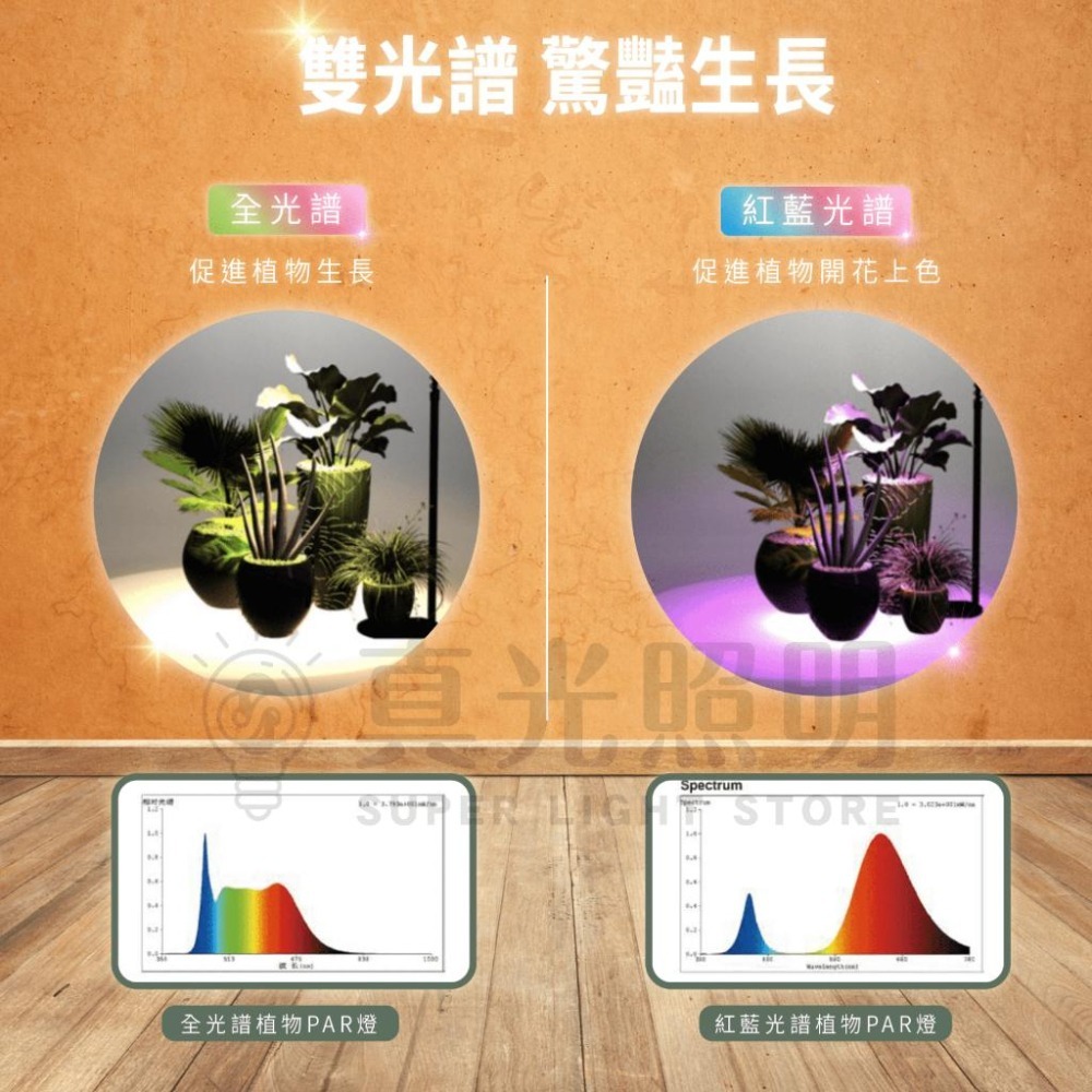 🧡 舞光LED ⚡️ 紅藍光譜 植物PAR燈 全光譜 LED E27/24w 植物用 多肉植物燈 植物生長燈 防塵防水-細節圖4