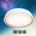 【DanceLight 舞光】30W 調光銀河吸頂燈 遙控 壁切 臥室客廳燈 三色變光 兩年保固-規格圖3