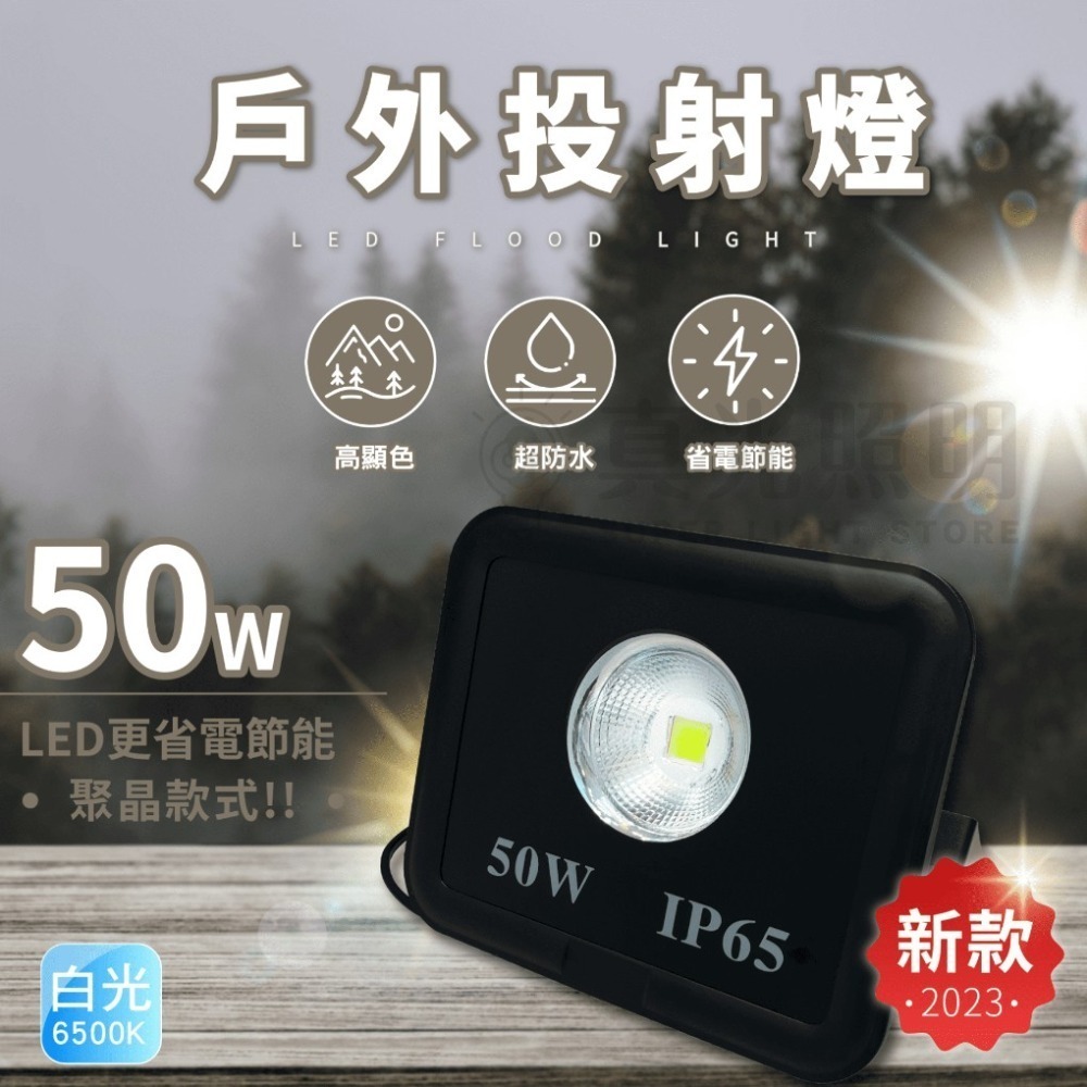 💡 真光照明 🙌🏻  LED戶外投射燈 白光 / 黃光 20W 30W 50W  聚晶款(白光) 新上市 投射燈-細節圖2