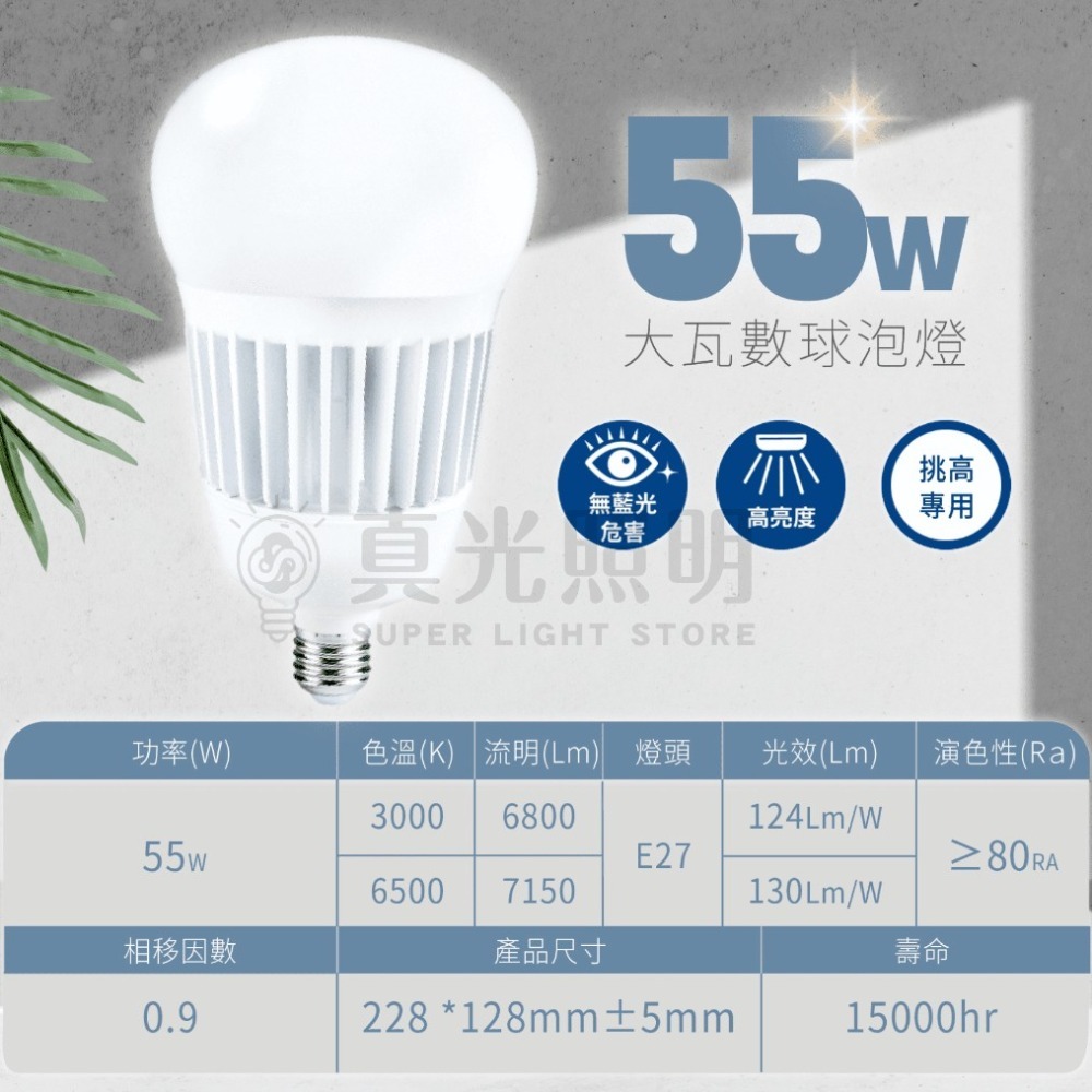 LED 燈泡  35W 55W 75W 大瓦數燈泡 白光 黃光-細節圖6