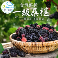 【愛上新鮮】台灣鮮採一級桑椹