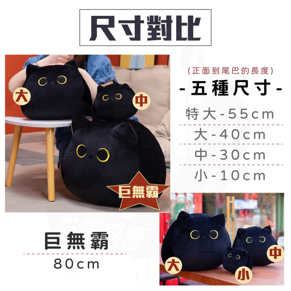【24H發貨】生日禮物首選 抱枕黑貓 [台灣現貨] 抱枕娃娃 大抱枕 小抱枕 公仔抱枕 交換禮物 貓咪公仔 居家生活-細節圖5