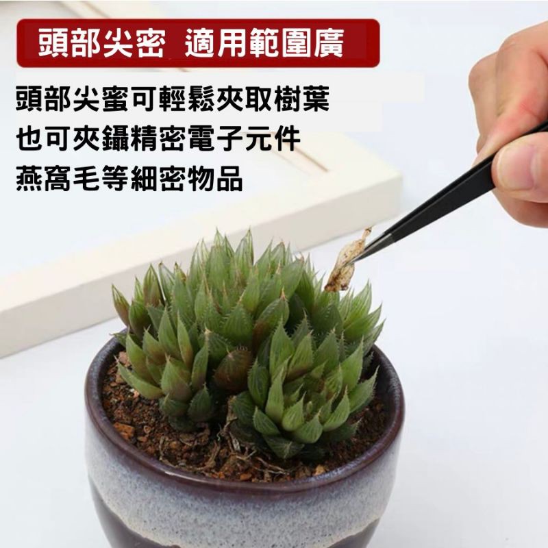 防靜電鑷子夾子 不鏽鋼鑷子 開發票 多肉 起苗器 現貨 台灣發貨 工具 聶子 攝子 各類款式 買多優惠 經典款式 超實用-細節圖5
