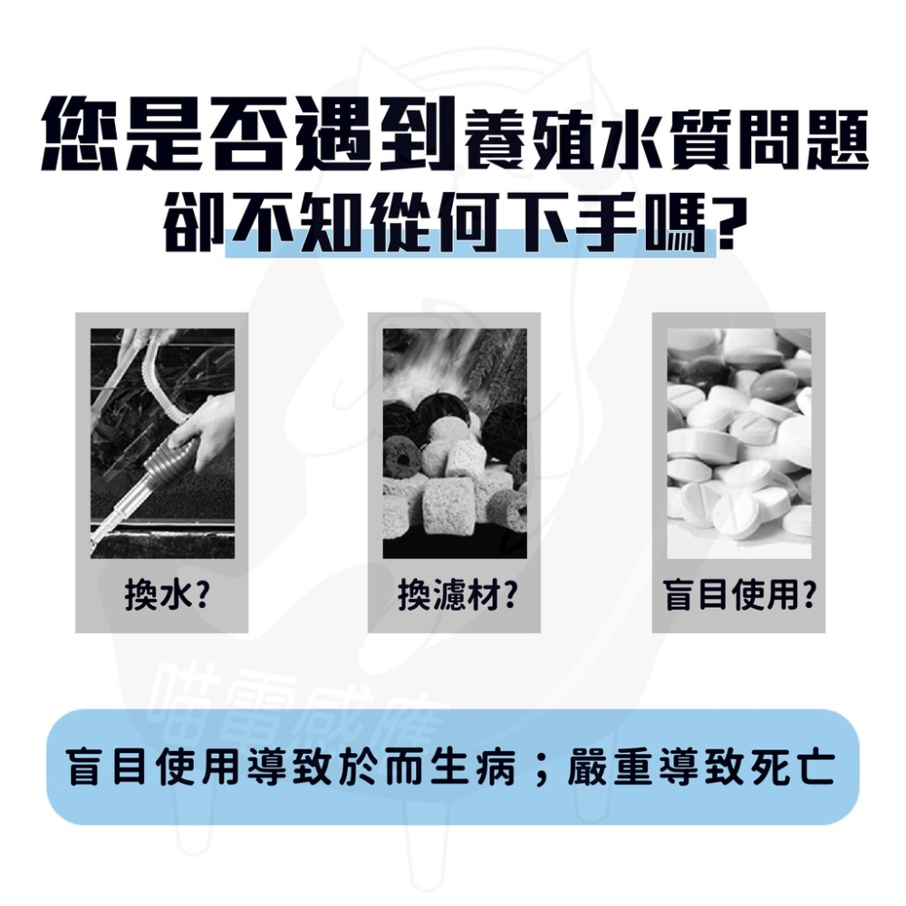 酸鹼試紙 水質測試紙[買80送20片][可開三聯] ph試紙 台灣現貨 養魚必備 植栽必備 檢測試紙 高精準度-細節圖2