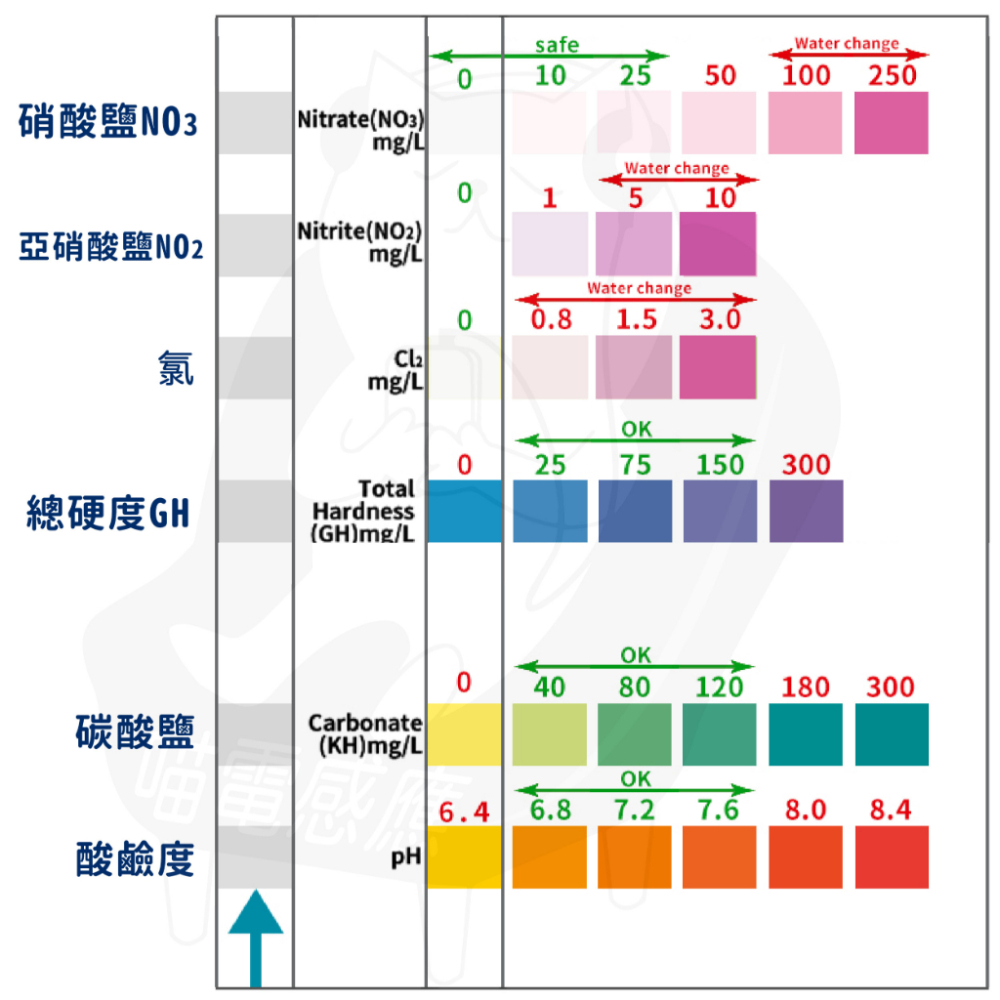 酸鹼試紙 水質測試紙[買80送20片][可開三聯] ph試紙 台灣現貨 養魚必備 植栽必備 檢測試紙 高精準度-細節圖6