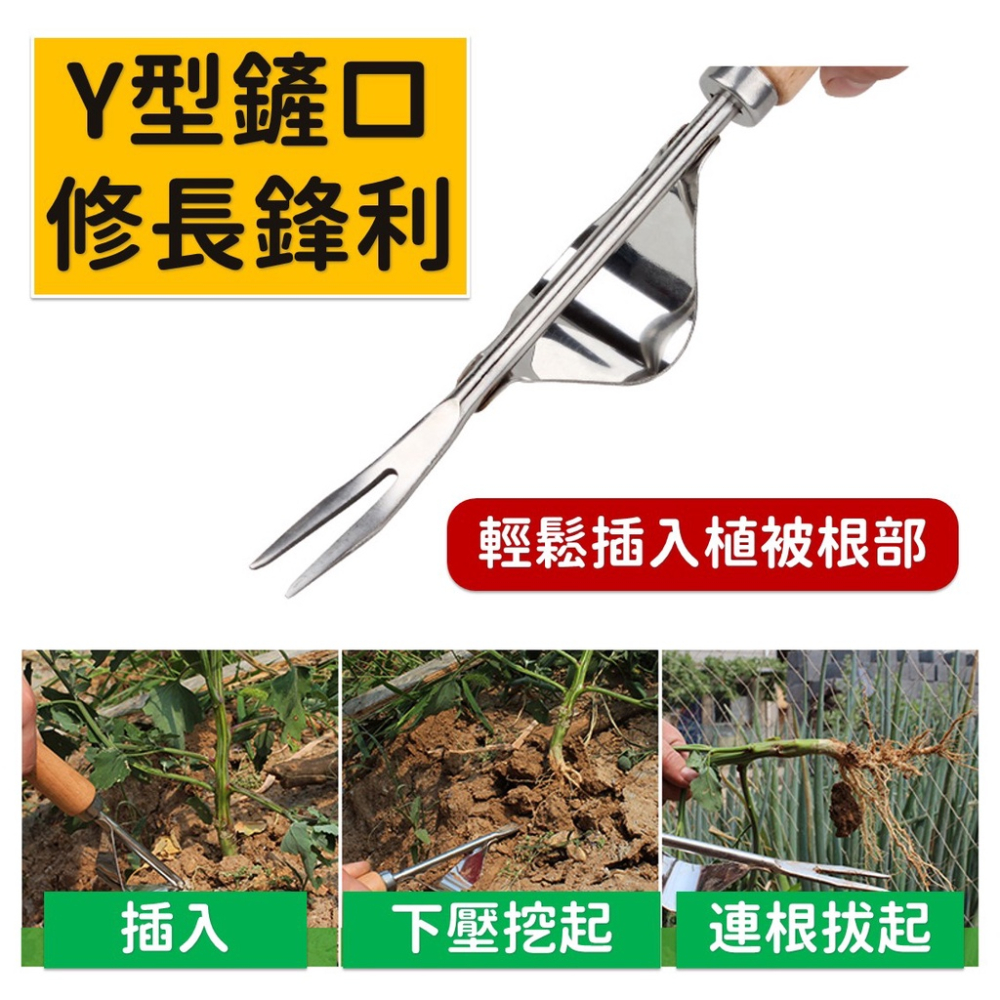 拔草神器【台灣現貨】[快速出貨] 除草神器 拔草器 除草器 園藝工具 不鏽鋼拔草器 起苗器 鏟子 園藝 鬆土 居家 生活-細節圖7