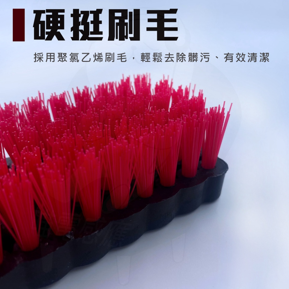 抹布刷子 [台灣製造][開發票] 現貨 硬毛刷 清潔刷 可刷地毯 量大優惠 不適用於刷衣服、刷鞋子-細節圖4
