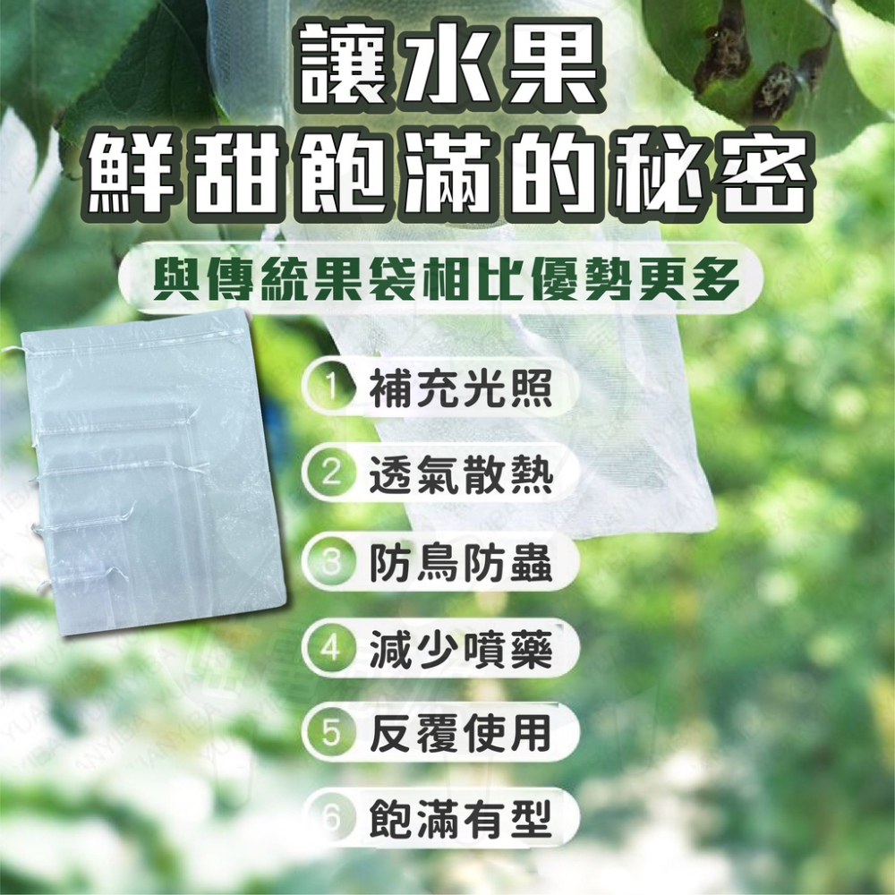紗網袋 網袋 紗袋 [開發票][24H發貨] 束口袋 水果網袋 水果袋 束口網袋 白色網袋 白色紗袋-細節圖2