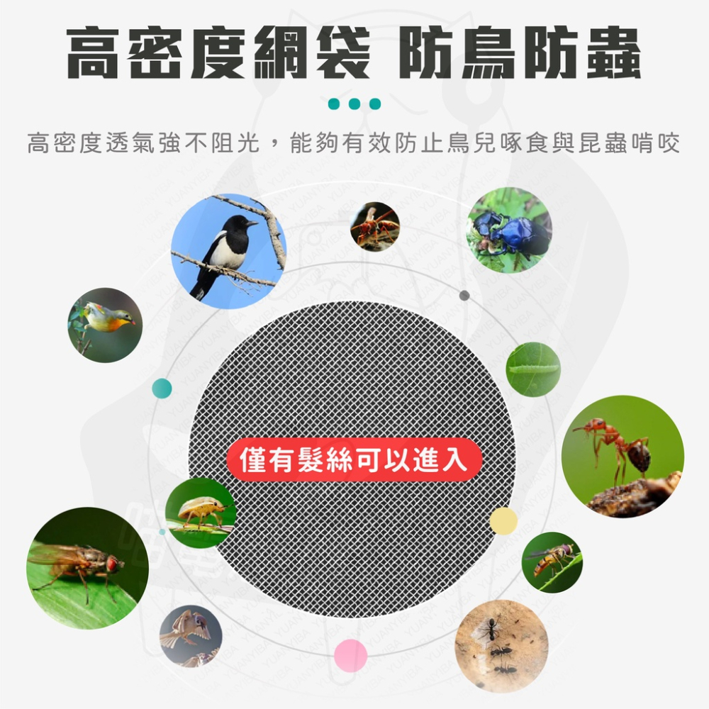 紗網袋 網袋 紗袋 [開發票][24H發貨] 束口袋 水果網袋 水果袋 束口網袋 白色網袋 白色紗袋-細節圖3