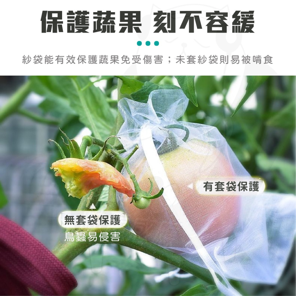 紗網袋 網袋 紗袋 [開發票][24H發貨] 束口袋 水果網袋 水果袋 束口網袋 白色網袋 白色紗袋-細節圖4