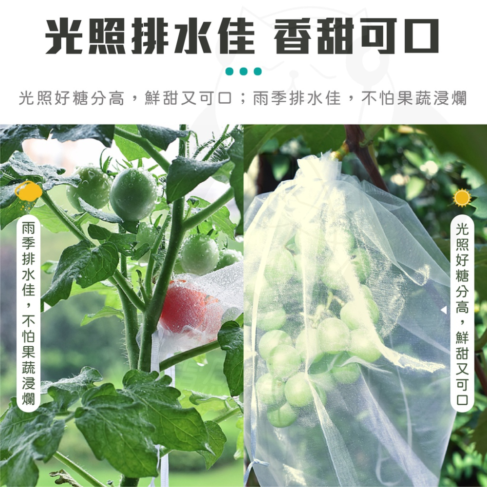 紗網袋 網袋 紗袋 [開發票][24H發貨] 束口袋 水果網袋 水果袋 束口網袋 白色網袋 白色紗袋-細節圖5