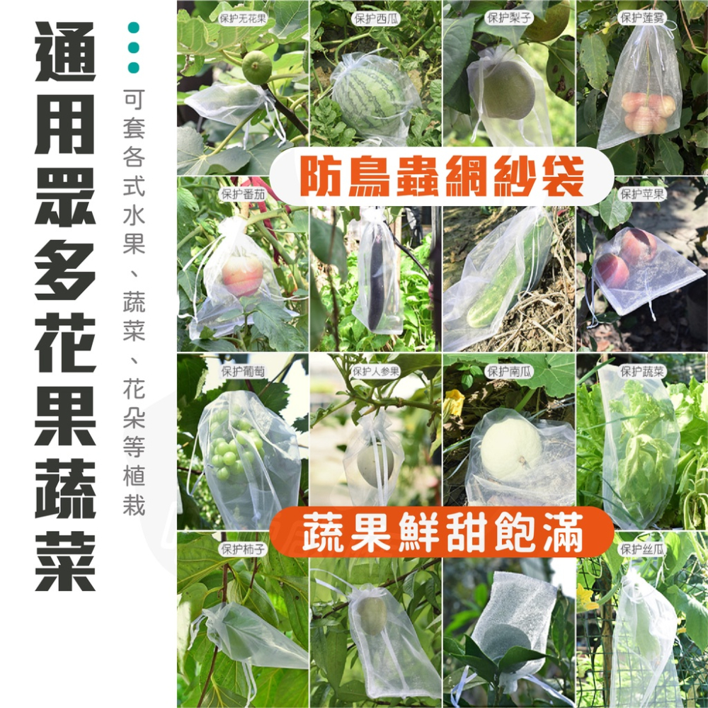 紗網袋 網袋 紗袋 [開發票][24H發貨] 束口袋 水果網袋 水果袋 束口網袋 白色網袋 白色紗袋-細節圖6
