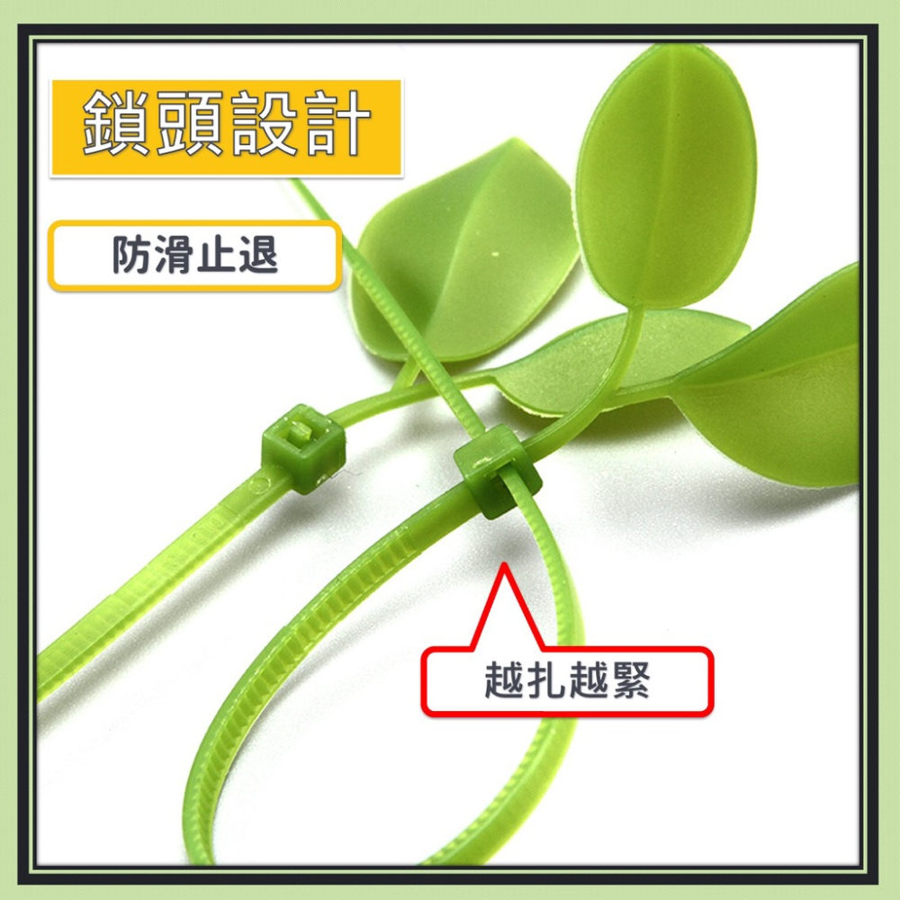 束帶 小草束帶 束線帶 理線帶 紮帶 紮線帶 尼龍束帶 【台灣現貨】 綁線帶 固定束帶 葉子束帶 塑膠束帶 車牌裝飾-細節圖3
