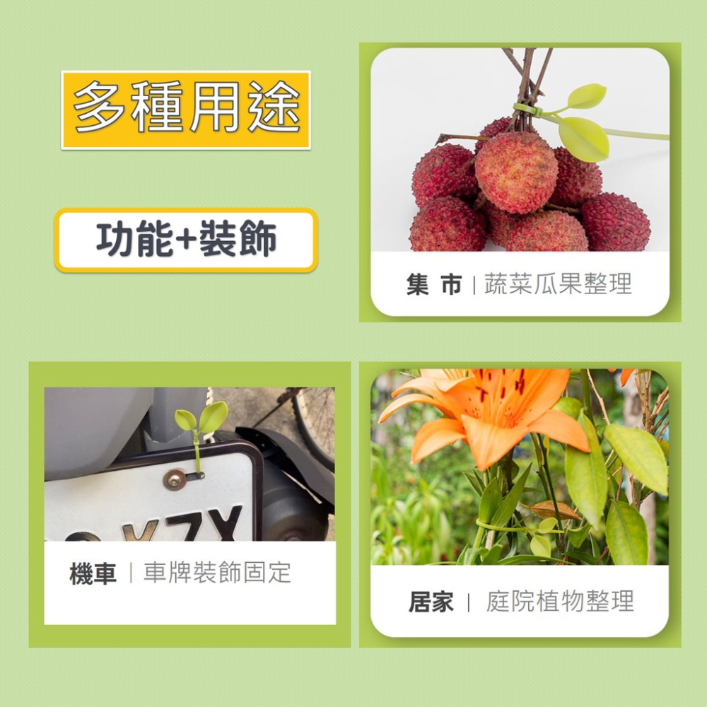 束帶 小草束帶 束線帶 理線帶 紮帶 紮線帶 尼龍束帶 【台灣現貨】 綁線帶 固定束帶 葉子束帶 塑膠束帶 車牌裝飾-細節圖4