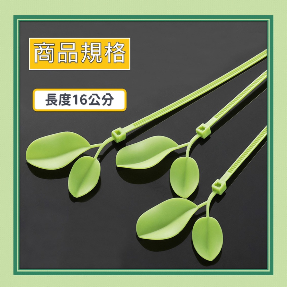 束帶 小草束帶 束線帶 理線帶 紮帶 紮線帶 尼龍束帶 【台灣現貨】 綁線帶 固定束帶 葉子束帶 塑膠束帶 車牌裝飾-細節圖5