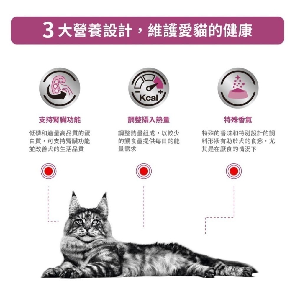 【近全新】Royal Canin 法國皇家 RF23 貓 腎臟病配方乾糧 1.9kg-細節圖2